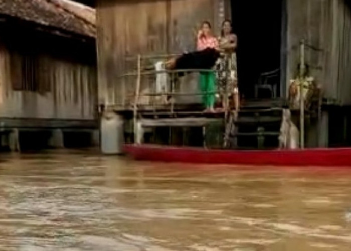 Dilanda Banjir Sejak 3 Hari Lalu, Warga Kampung Sri Menanti Mengeluh Tak Dapat Bantuan Apapun