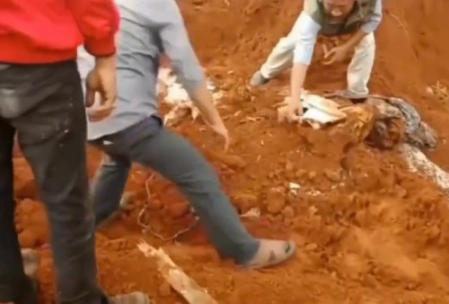 Polisi Periksa JNE Terkait Temuan Beras Bansos Dikubur
