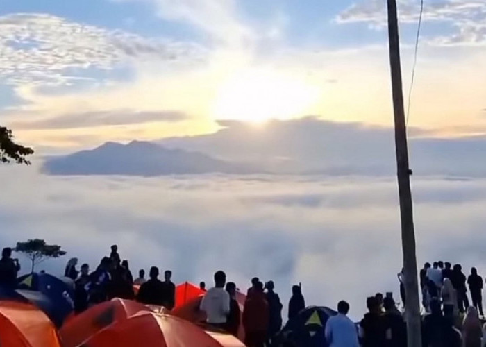 Berasa Negeri Atas Awan, Ini Lokasi dan Cara Reservasi di Bukit Embun yang Jadi Tempat Camping Hits Lampung