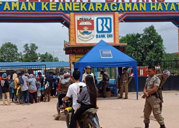  6 Rekomendasi Tempat Wisata di Mesuji yang Wajib Dikunjungi, Ada Kegiatan Susur Sungai