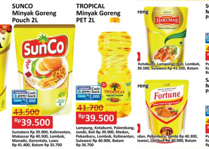 Promo Minyak Goreng Murah Sampai 24 April 2025 di Alfamart, Penuhi Stok Kebutuhan Dapur di Tanggal Tua