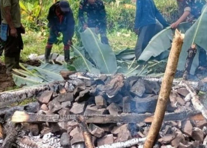 Masih Dilakukan Sampai Sekarang, Tradisi Bakar Batu Pererat Silaturahmi