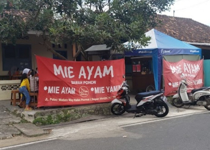 3 Lokasi Mie Ayam Bawah Pohon di Bandar Lampung, Nikmati Kuliner Bareng Keluarga Dengan Suasana Berbeda  