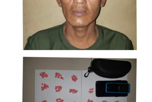 Edarkan Ratusan Butir Pil Ekstasi, Warga Pesawahan Diamankan Polisi