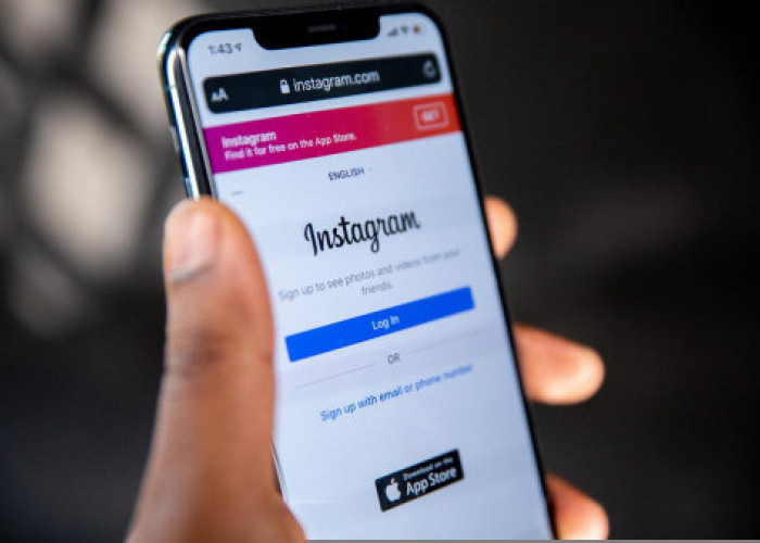More Excitingly, GIFs Can Now Be Used in Instagram Comments