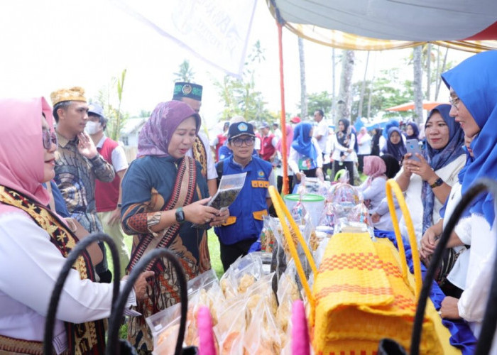 Rektor Unila Sambangi Lokasi KKN di Pesisir Barat
