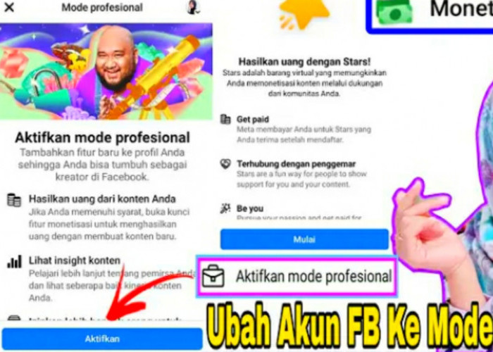 5 Langkah Mudah Aktifkan Facebook Pro, Perhatikan Istilah Ini Supaya Cepat Menghasilkan Dollar
