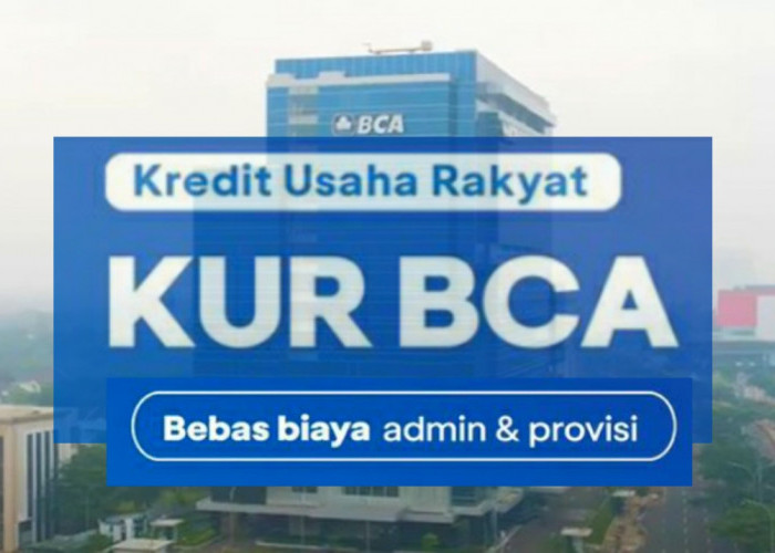 Syarat Terbaru KUR BCA 2024, Cek Cara Ajukan Pinjaman Modal Rp 50 Juta Tanpa Agunan