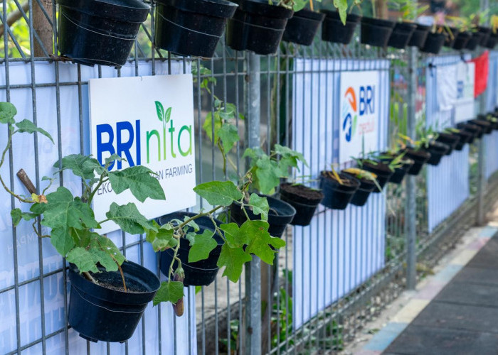 Pengelolaan Risiko ESG Kuat, Rating Sustainalytics BRI Terus Membaik 