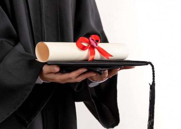Awas Keliru, Ini Letak Nomor Ijazah untuk Seleksi CPNS 2024