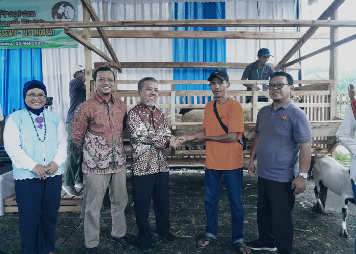 Festival Qurban 2025 di Pringsewu,  Dorong Pengembangan Kawasan Ternak dan Ketahanan Pangan