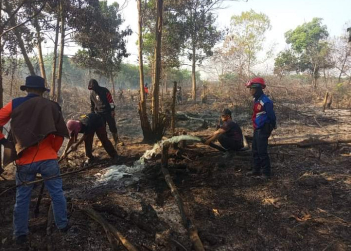 Ada 5 Kasus Kebakaran Lahan Sepanjang Musim Kemarau di Mesuji