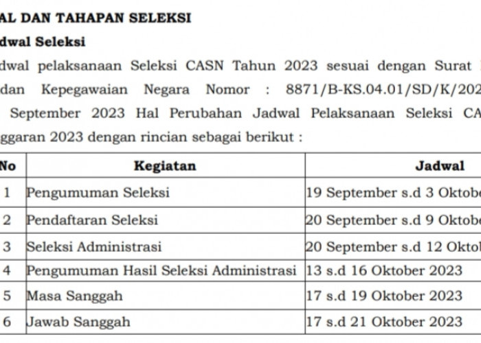 Syarat, Kriteria, Jadwal dan Tahapan Seleksi PPPK di Lampung Selatan