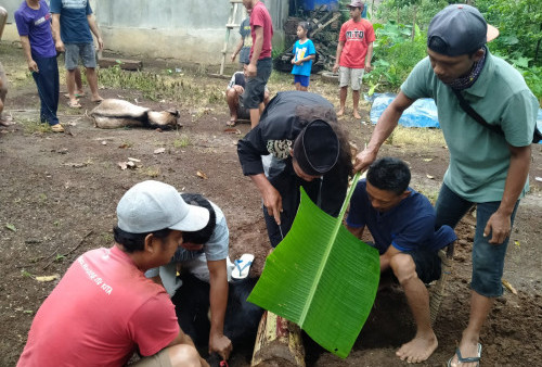 Disbunnak Tanggamus Turunkan 20 Petugas Keswan 