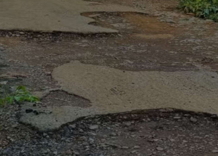 Jalan Kabupaten Lamsel Banyak Rusak, Ini yang Dilakukan Pemkab