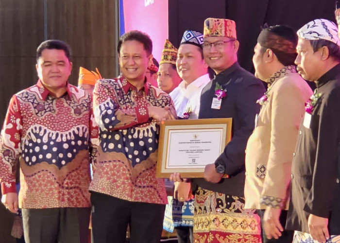 Sukses Terapkan Eradikasi, Pemkab Tubaba Diganjar Penghargaan Kemenkes RI