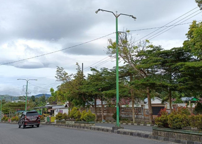 Ratusan Lampu Penerangan Jalan di Lampung Barat Rusak, yang Diperbaiki Hanya Jalur Ini 