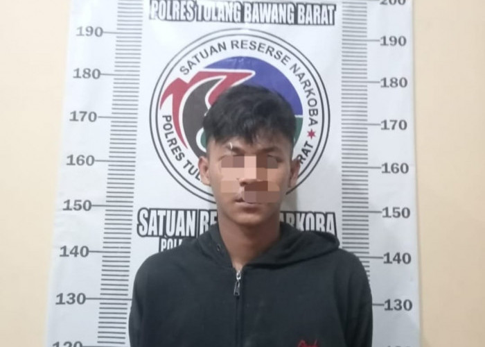 Lagi, Polisi Ringkus Pengedar Pil Hexymer