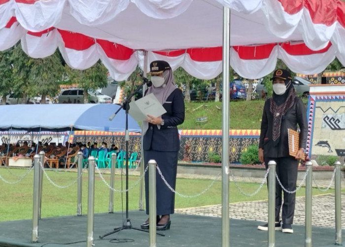 Peringatan Hari Pahlawan, Bupati Tanggamus: Resapi Semangat dan Keikhlasan Pejuang!