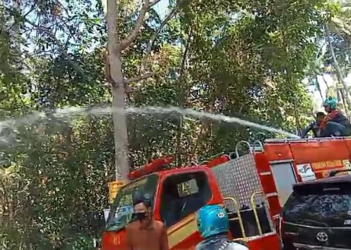 Dalam Sehari, 4 Kebakaran Lahan di Bandar Lampung, Berikut Titik Lokasi dan Dugaan Penyebabnya