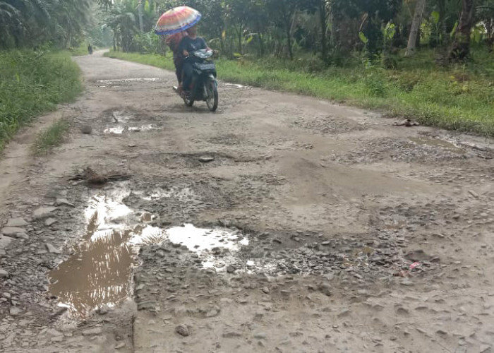 Ini Penampakan Akses ke Lokasi Wisata Pantai Sawmil 
