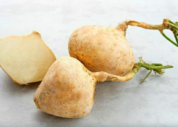12 Manfaat Bengkoang untuk Kesehatan Tubuh, Cocok Juga Dijadikan Produk Skincare Alami