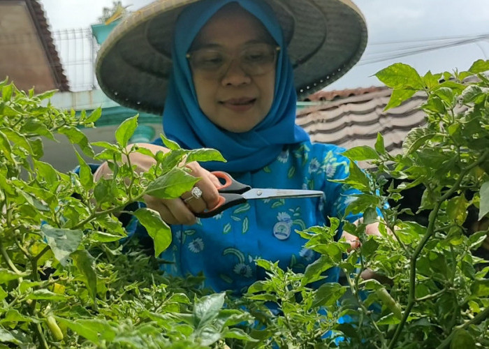 Program BRInita Sukses Jadikan Kelurahan Padjajaran Bandung Jadi Percontohan Urban
