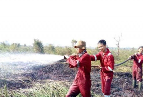 Waspada! Ini Wilayah Mesuji yang Rawan Kebakaran Lahan Gambut 