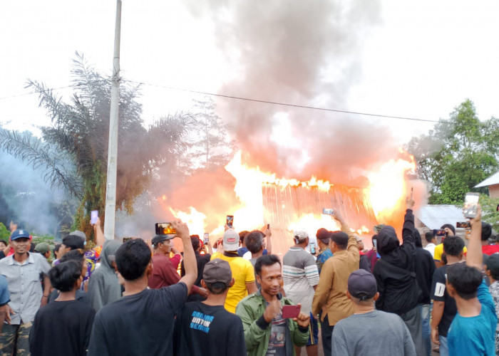5 Orang Diamankan Polisi Pasca Pembakaran Kantor TNBBS Resort Suoh
