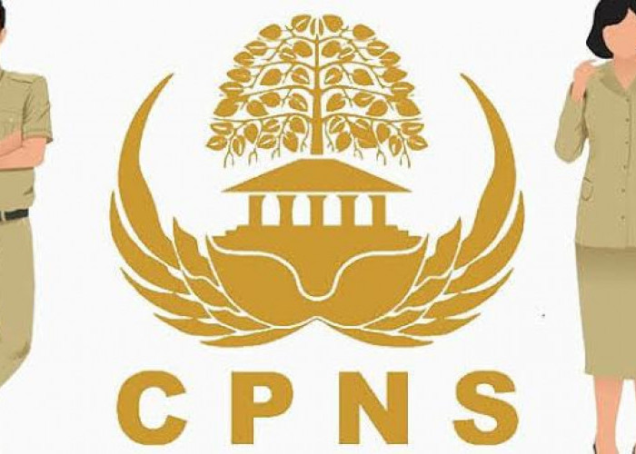 Cek, Jurusan Prioritas Pada Pendaftaran CPNS 2024