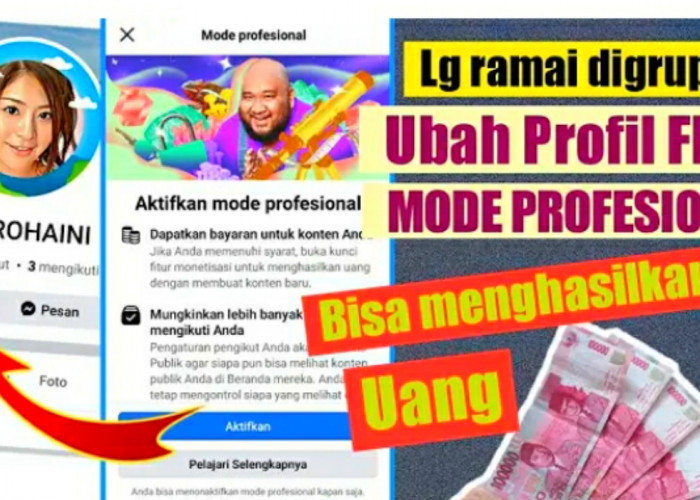 Apa Itu Mode Profesional di Layanan Facebook Pro? Yuk Kenali Lebih Mendalam