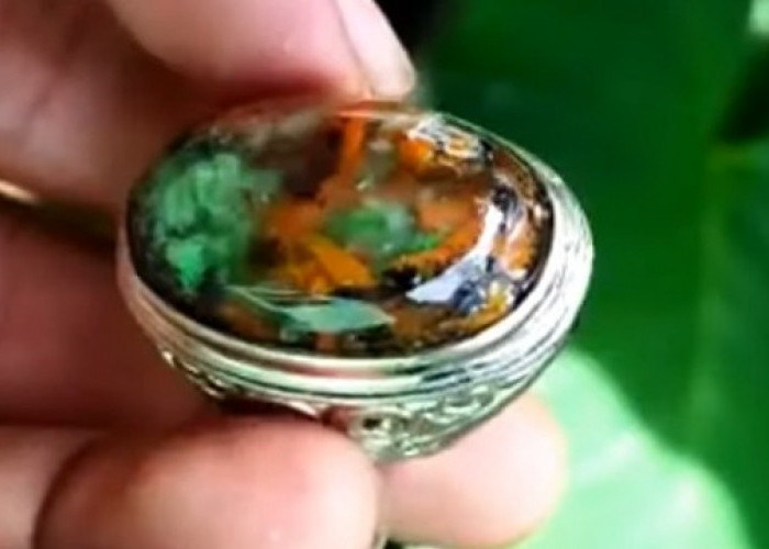 Jenis-Jenis Batu Akik Termahal, Ada yang Berhasil Kalahkan Kualitas Batu Bacan