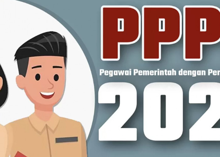 Pendaftar PPPK 2023 di Pringsewu Lampung Dua Kali Lipat Dari Formasi  