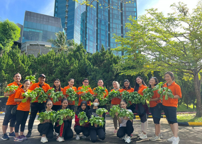 Keren, Novotel Bandar Lampung Budidayakan Tanaman Hidroponik