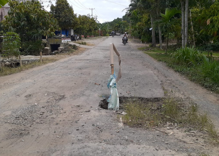 Pemkab Lampung Barat Siapkan Rp41 Miliar untuk Infrastruktur