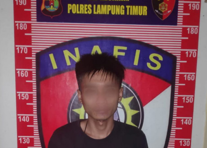 Warga Lampung Timur Curi HP di Jakarta Barat