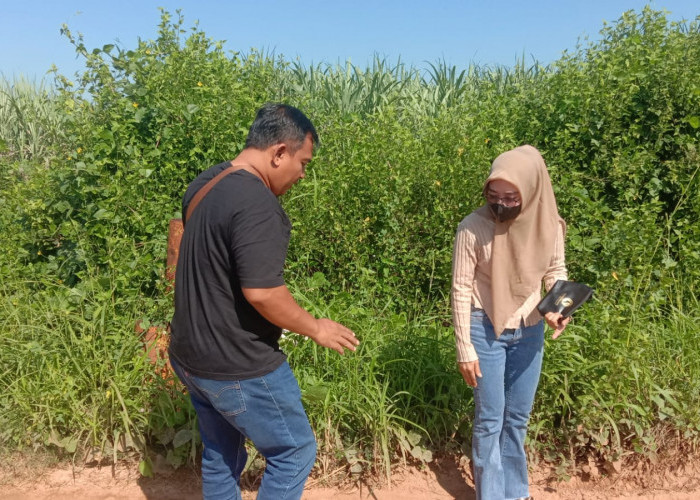 Dikejar Leasing, IRT Nekat Buat Laporan Palsu Jadi Korban Curas