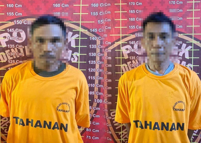 Panen Jeruk di Kebun Orang, Warga Tulang Bawang dan Way Kanan Diciduk Polisi