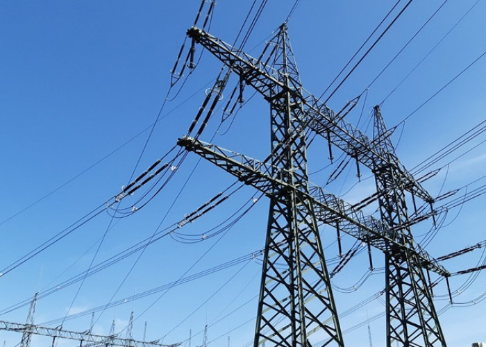 Picu Pemadaman Listrik, Ternyata Ini Penyebab Transmisi SUTT 275 kV Lubuk Linggau-Lahat Terganggu