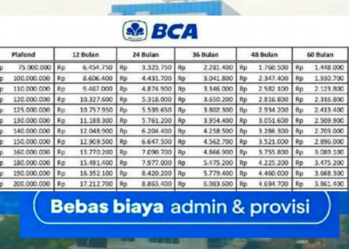 Syarat Terbaru KUR BCA 2024 Plafon Rp 75 Juta, Ini Langkah Mudah Ajukan Pinjaman Tanpa Agunan