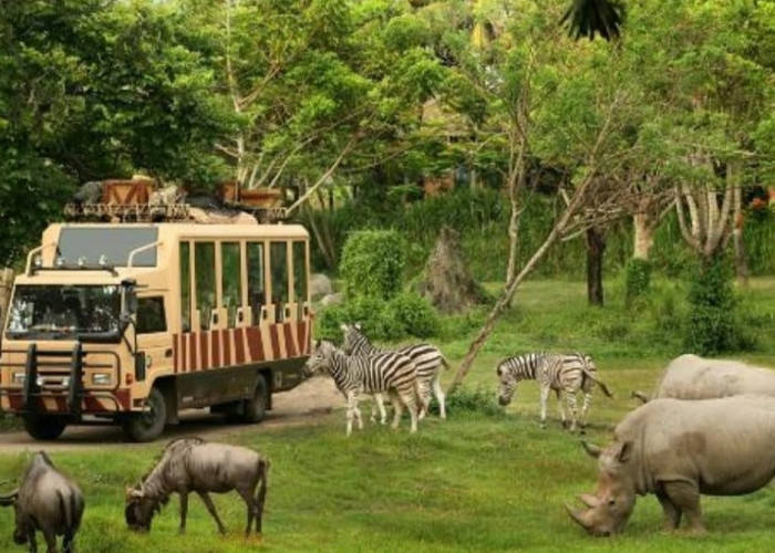 9 Rekomendasi Destinasi Wisata di Bali Selain Pantai, Cocok Liburan untuk Anak-anal