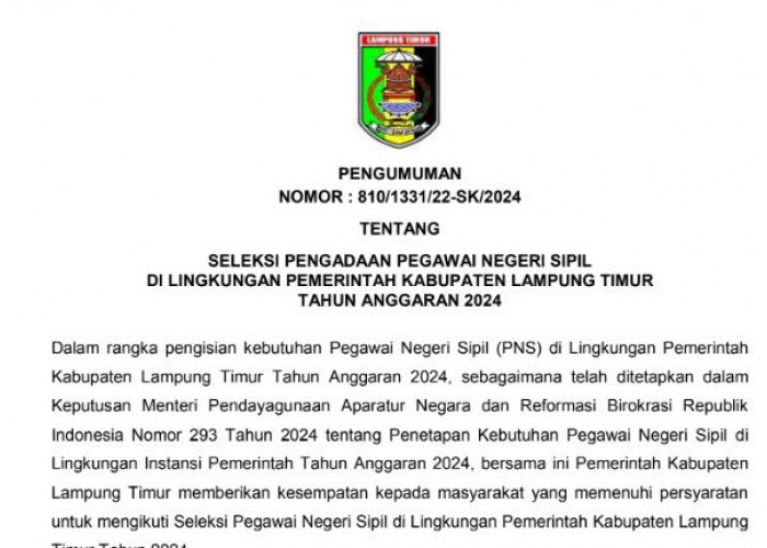 Daftar Rincian Formasi CPNS 2024 Pemkab Lampung Timur