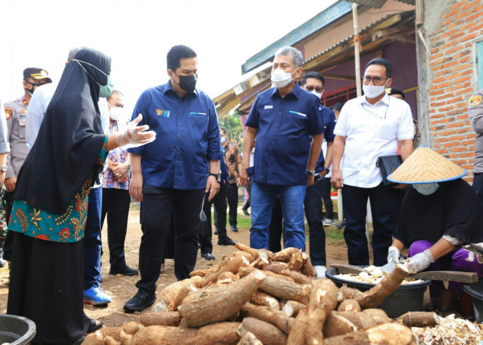 Laba BRI Terbang 106,14 persen, Erick Thohir: Buah Transformasi Berkelanjutan