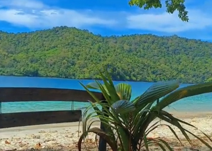 Berjarak 139 Km Dari Bandar Lampung, Ini Destinasi Wisata Pulau Kelapa Tanggamus yang Sangat Menakjubkan