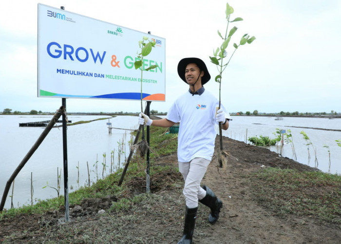Fokus Jalankan Praktik Bisnis Berkelanjutan, BRI Masuk Dalam Daftar CNBC Indonesia Green Business Ratings 2024