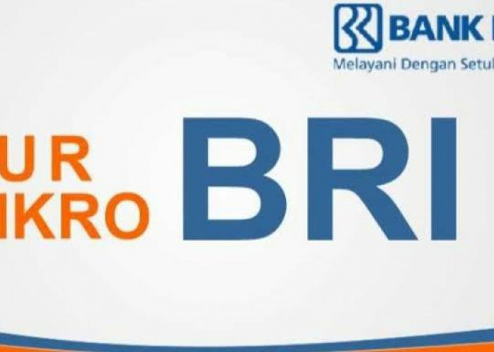 Cairkan Langsung, Pinjaman KUR BRI Sebesar Rp 40 Juta, Syarat Mudah Anti Ribet