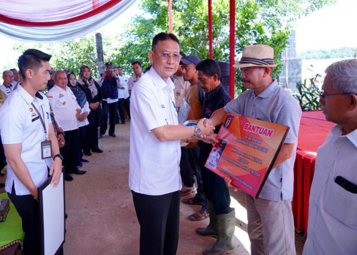 Pj. Bupati Pringsewu Hadiri Panen Raya Varietas Unggul Baru Inpari 32