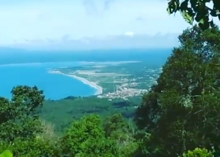 Daftar Wisata Gunung di Lampung Penuh Tantangan, Pemandangan Indah bakal Kamu Dapatkan