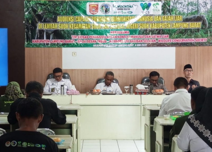 Gajah-Manusia Bakal Harmonisasi di Lembah Suoh dan BNS Lampung Barat