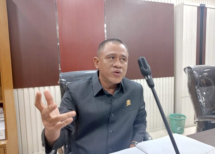 Sikapi Putusan MK, Istri Aries Sandi Maju Pilkada Pesawaran?
